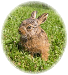 Soll ich Dir meine Geschichte erz�hlen?